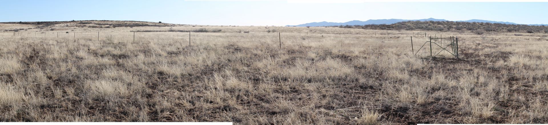 Wintertime grassland and monitored exclosure plot, AFNM, March 2013.